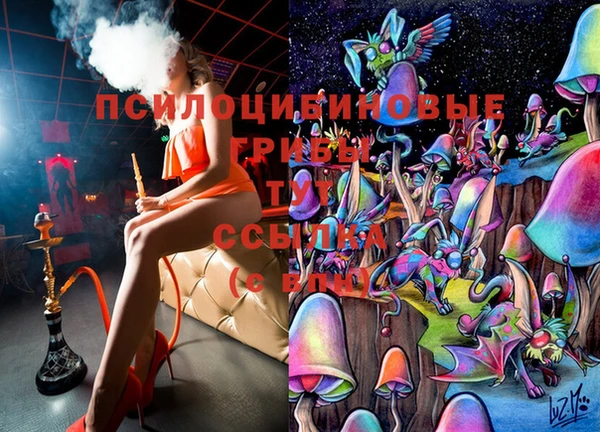 мяу мяу мука Зерноград